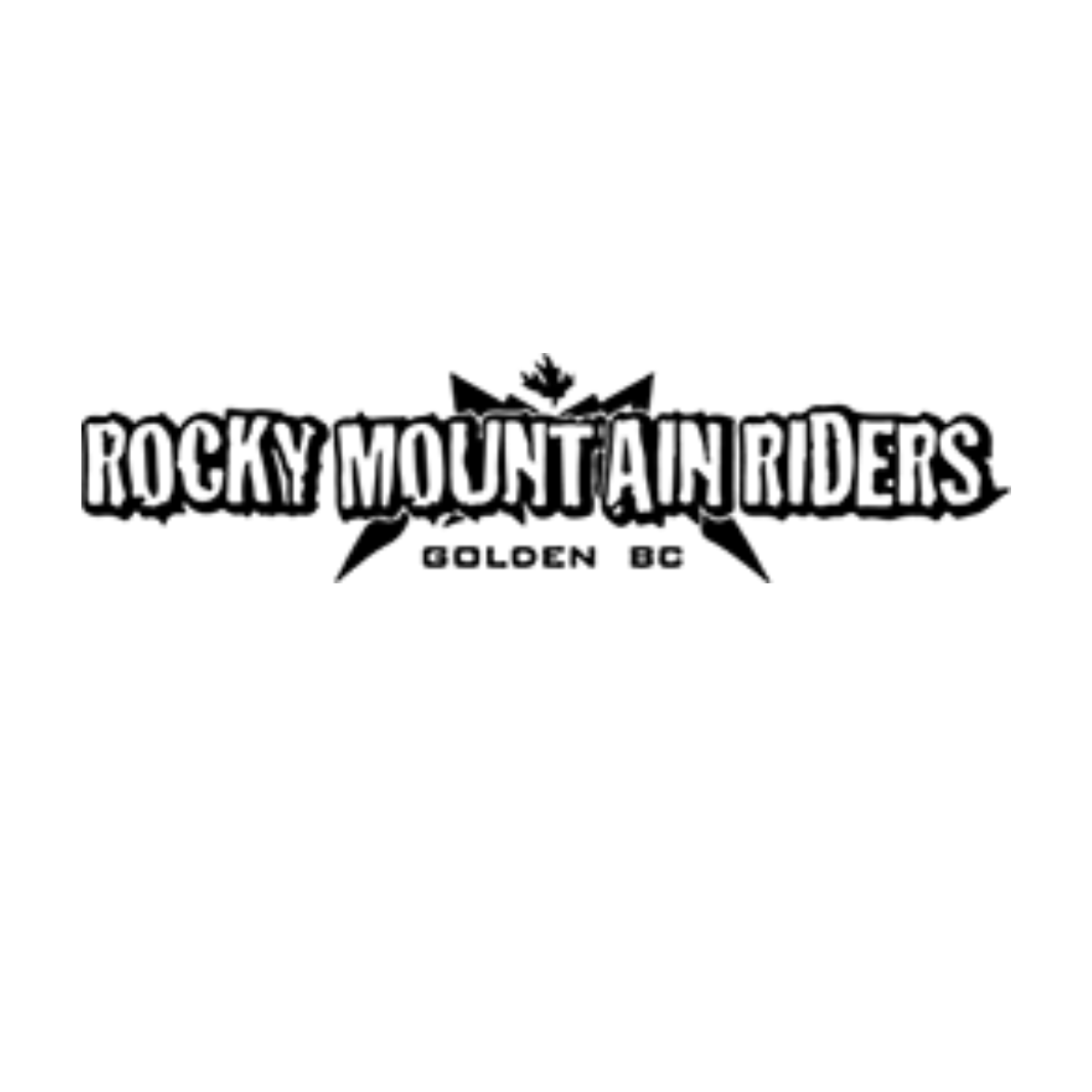 ROCKY MOUNTAIN RIDERS Snowmobile Tours and Rentals