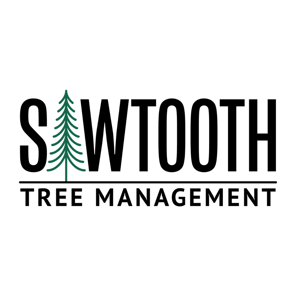 Sawtooth Tree Management