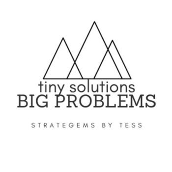 Tiny Solutions Big Problems Consulting