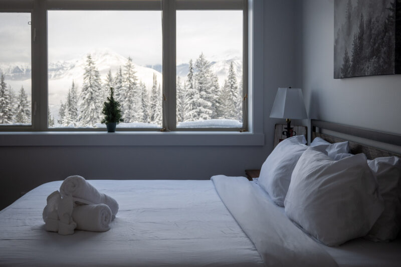 Vibrant Accommodation Management Ltd