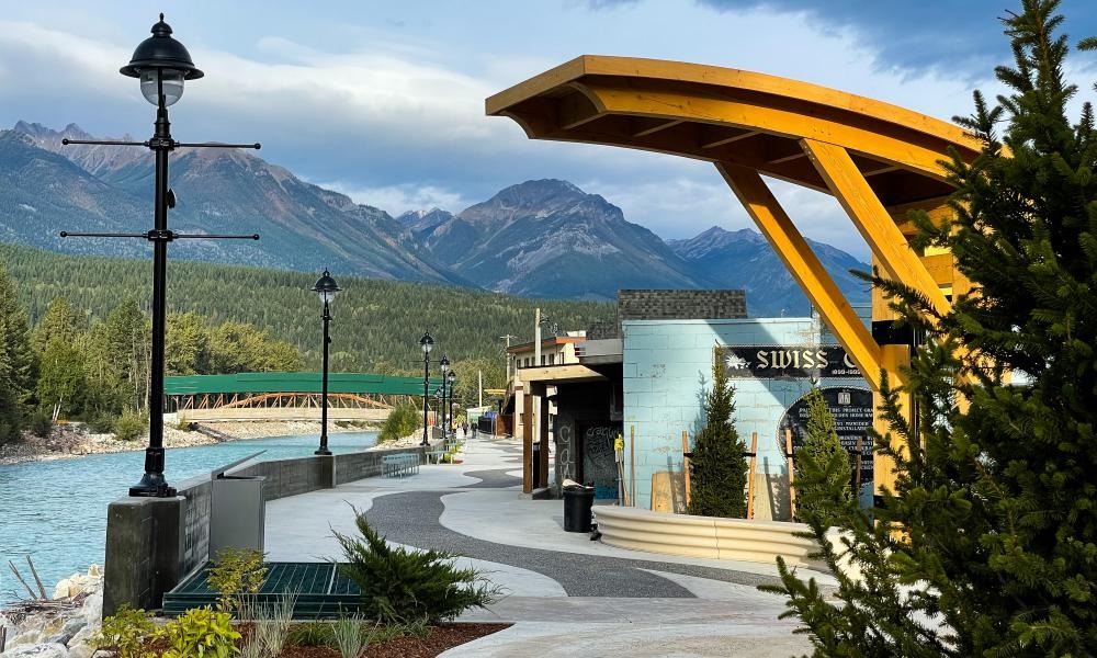 Professional Services